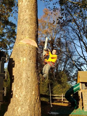 Fabian Tree Service project photo 3