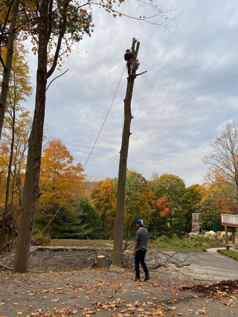 Fabian Tree Service job site photo 9