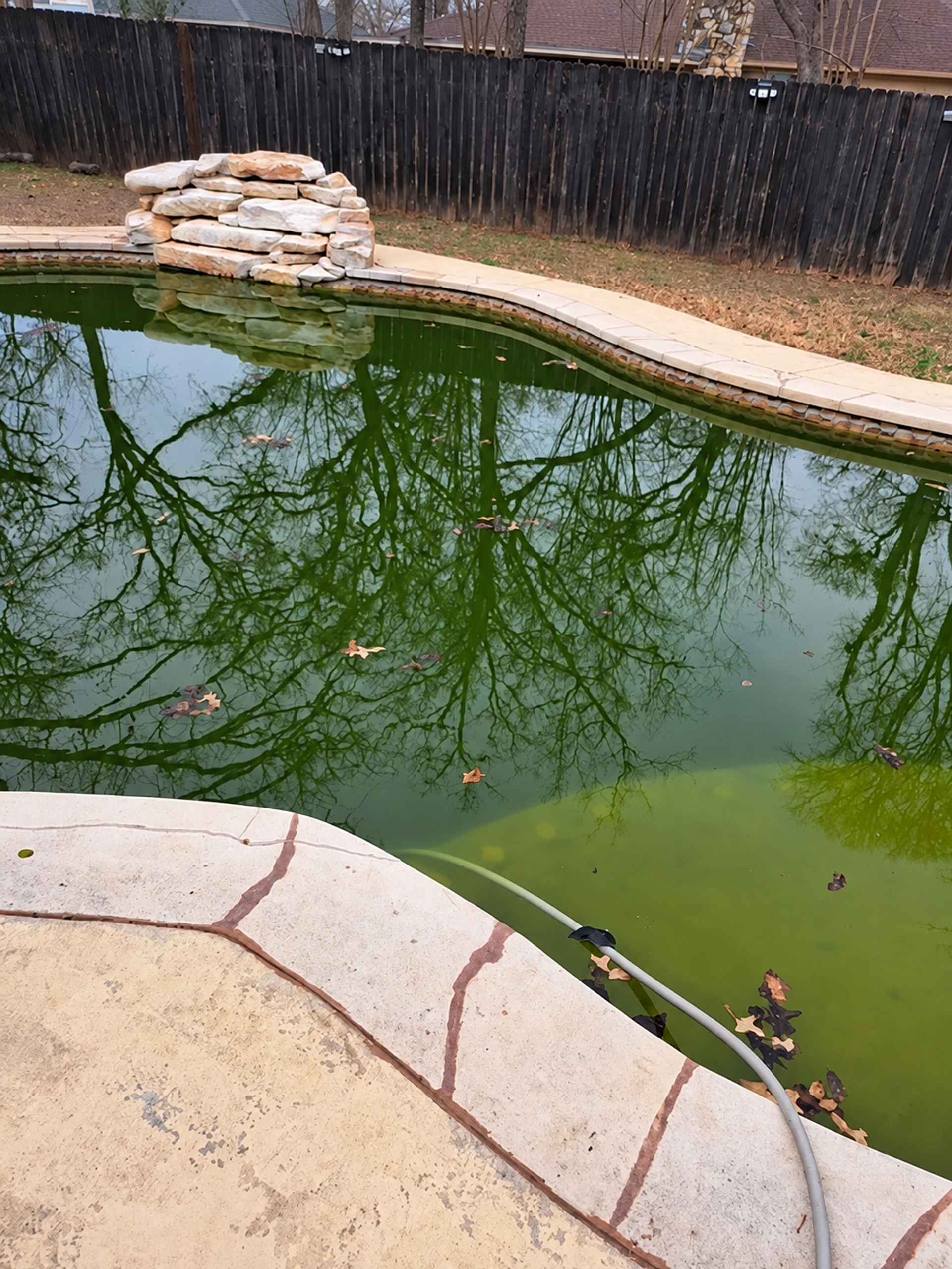 Green algae pool water before treatment in Central Texas
