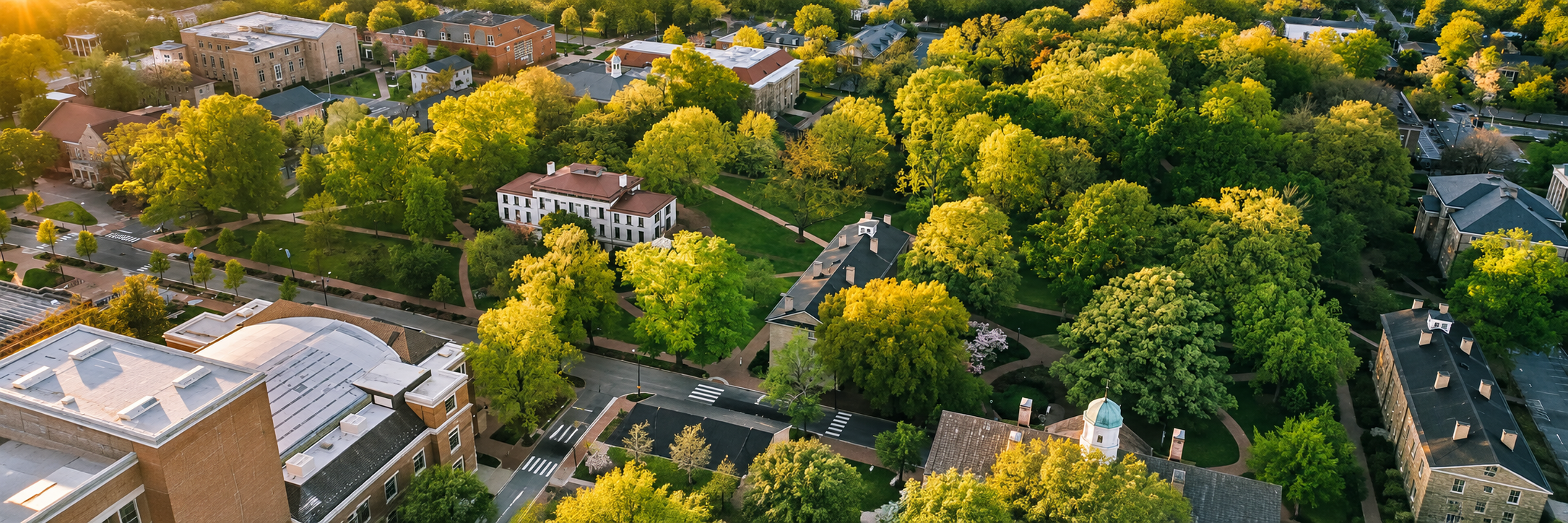 Lush collegiate university campus from above