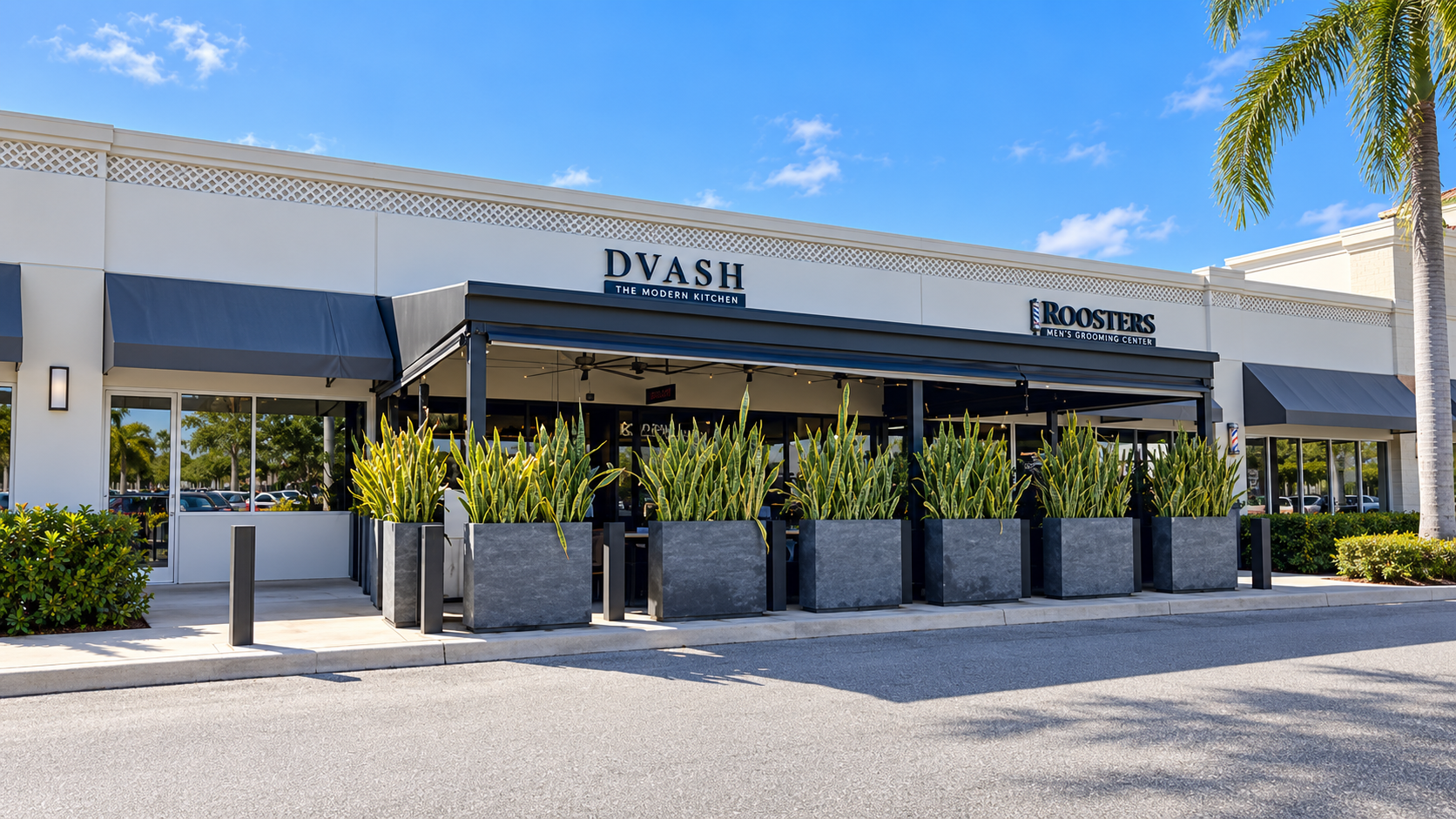 DVASH