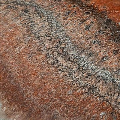 Red Rock macro detail showing surface texture and veining
