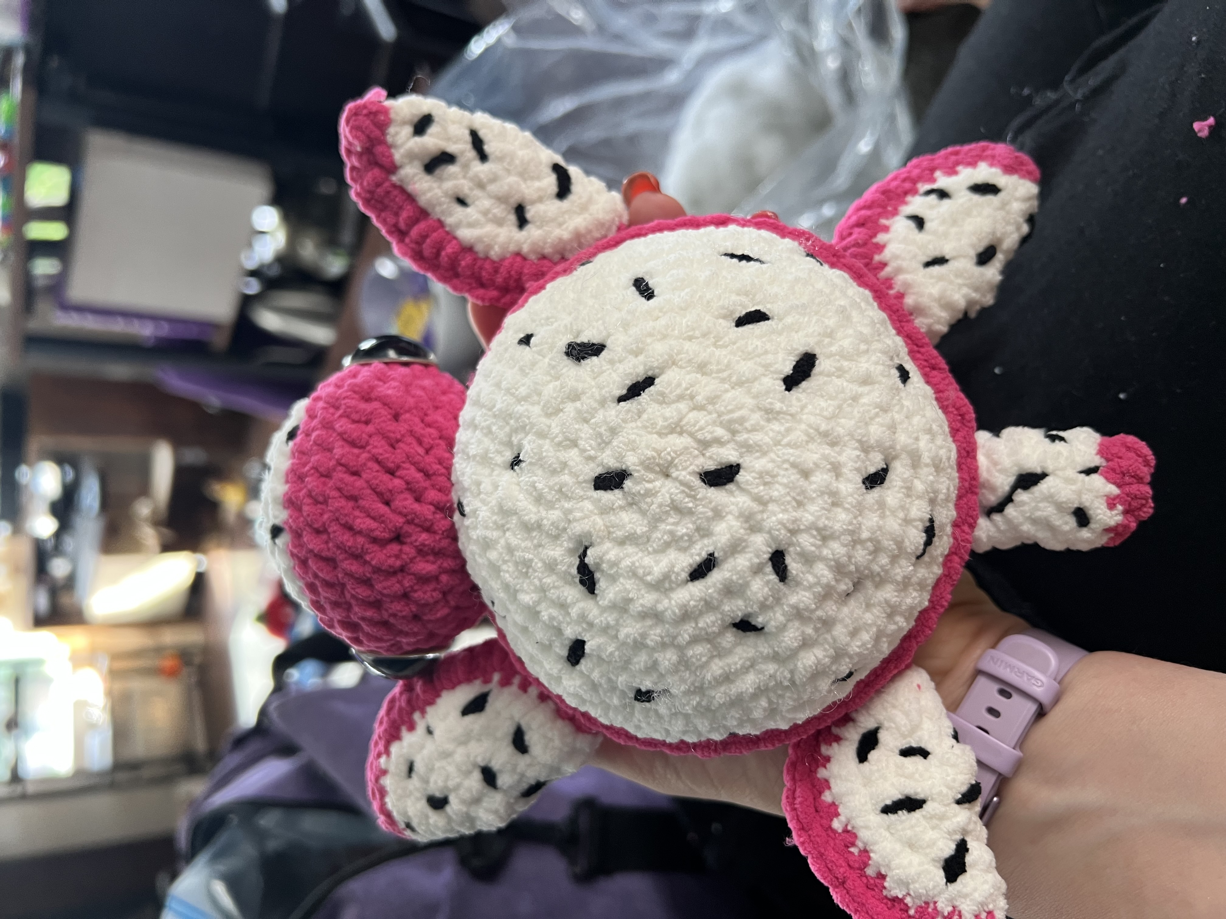 Top view of the finished Pip showing her round dragon fruit shell and four flippers