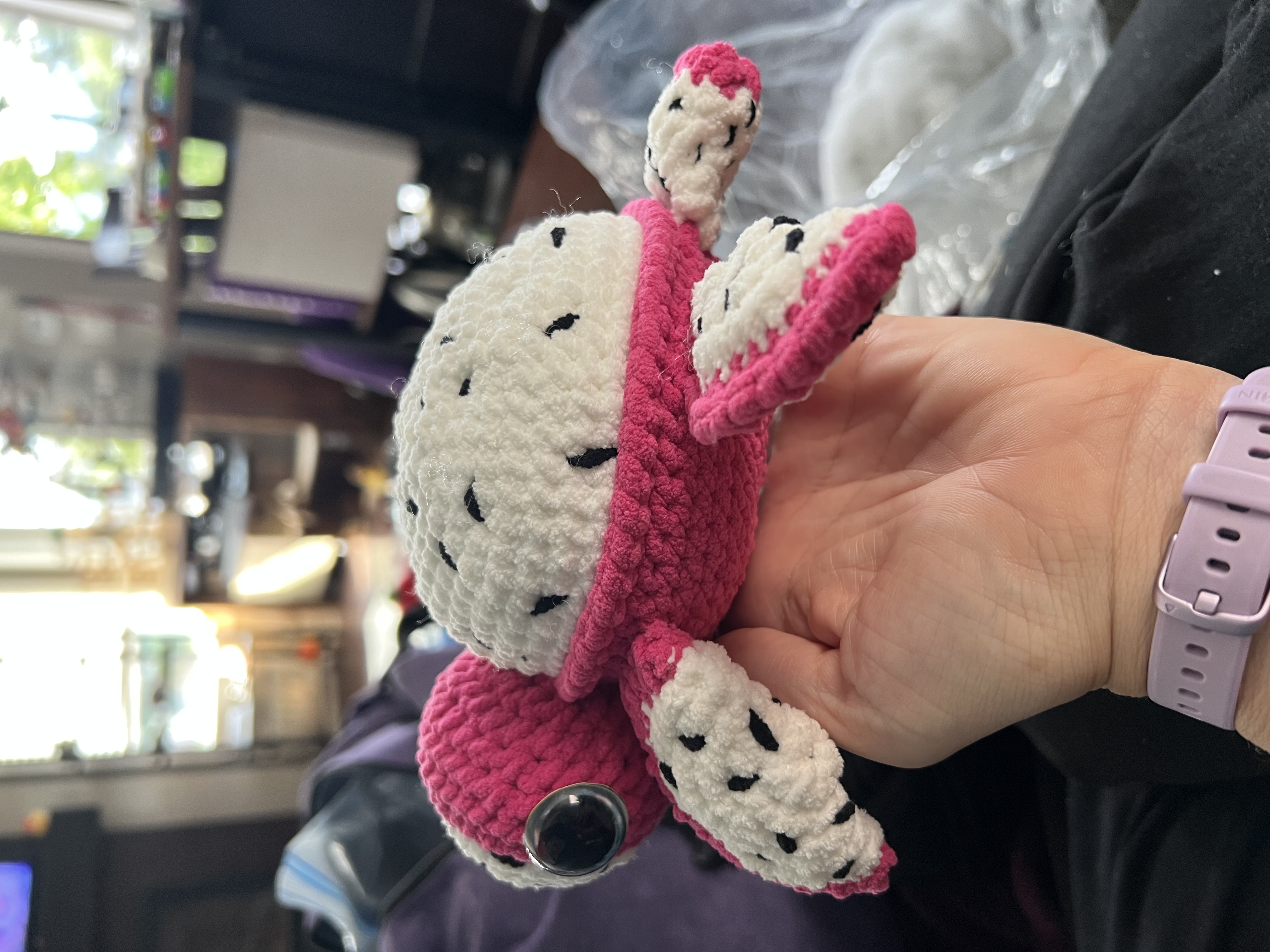 The finished dragon fruit turtle from a low side angle resting in hand