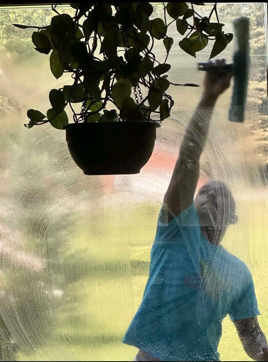 Window cleaning in action — streak-free technique on residential glass