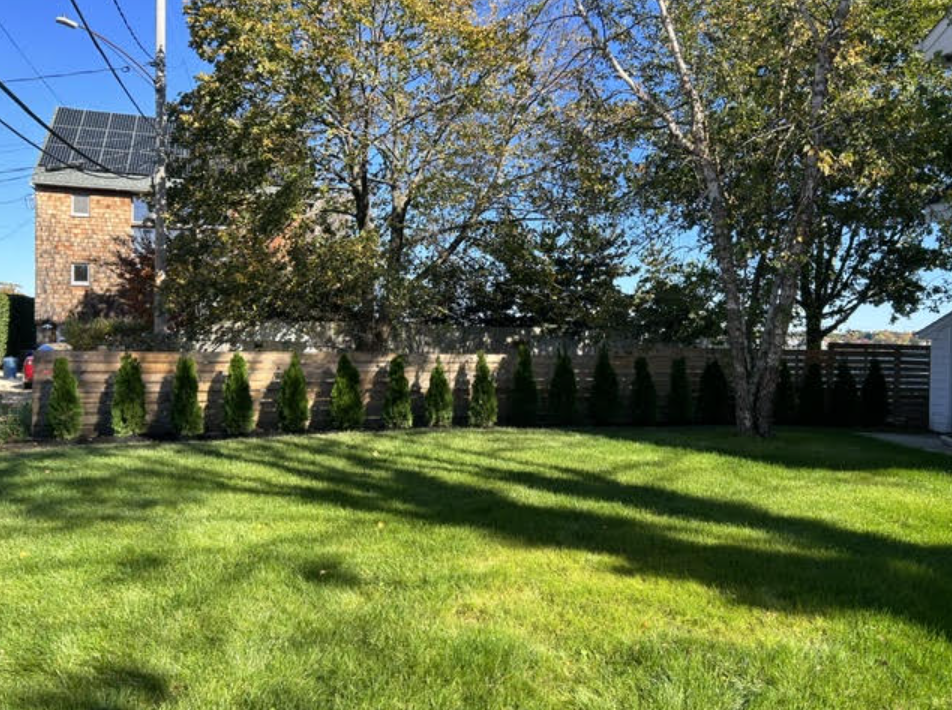 Restored lush green lawn and new perimeter plantings along the fence