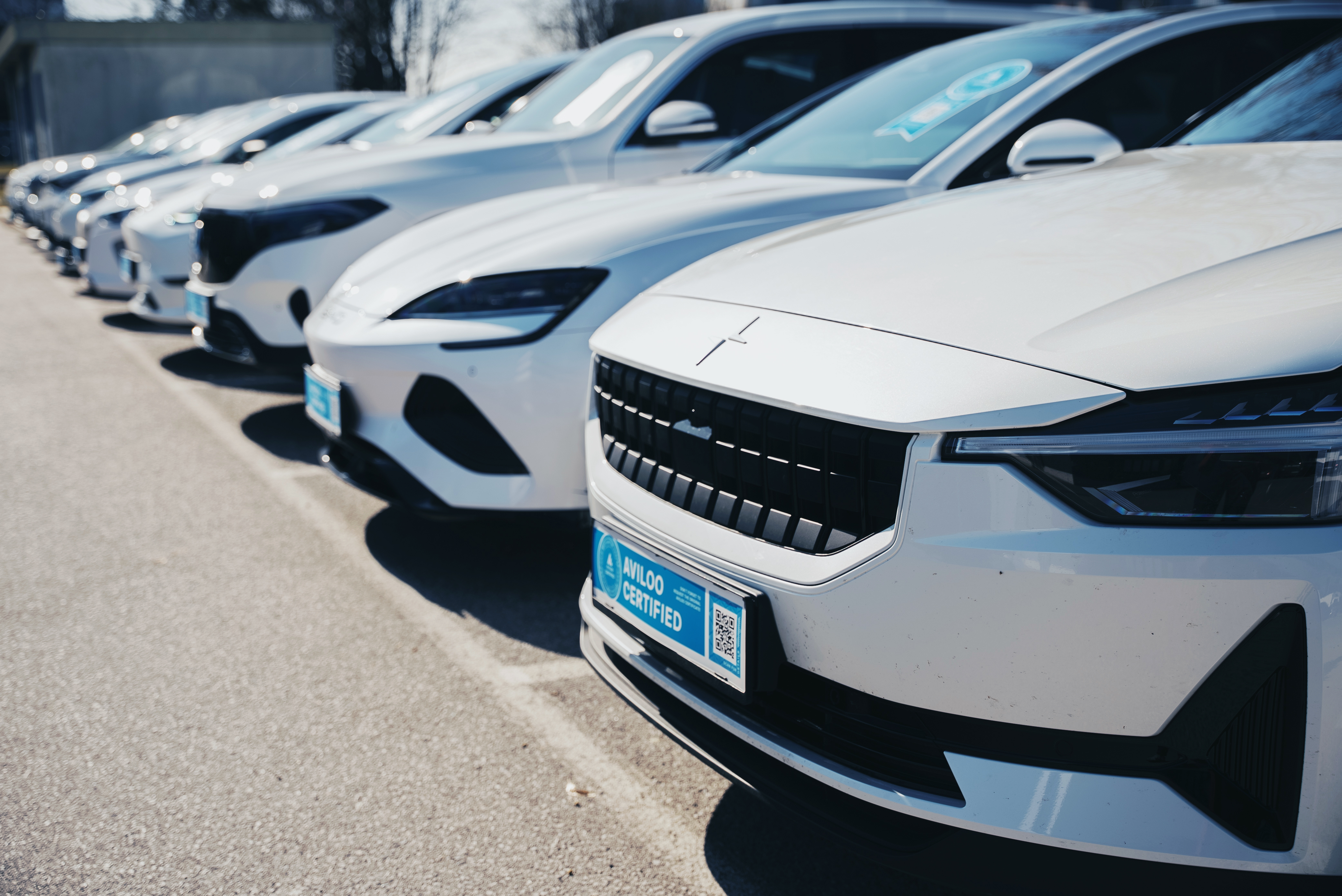 Line of electric vehicles with AVILOO Certified badge on-site