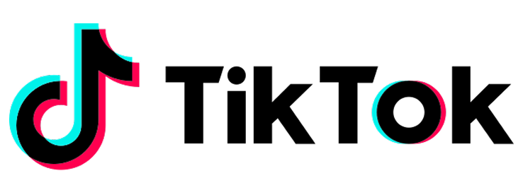 TikTok logo — integrates with Wootomatic CRM and automation platform