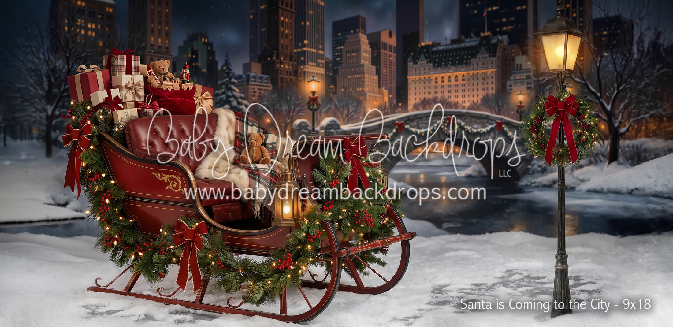 Central Park Sleigh