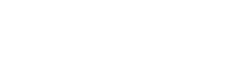 Bavinchi Capital LLC