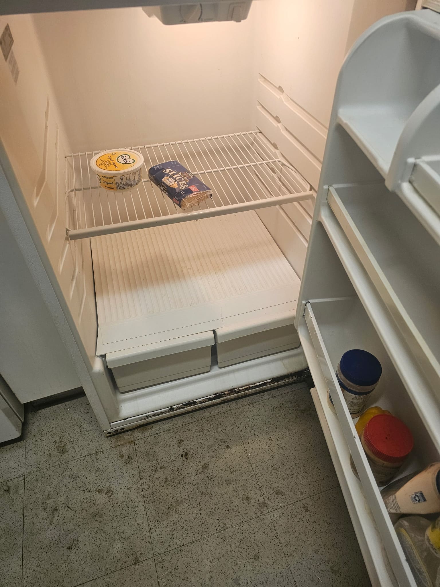 Pristine sanitized refrigerator interior after deep cleaning