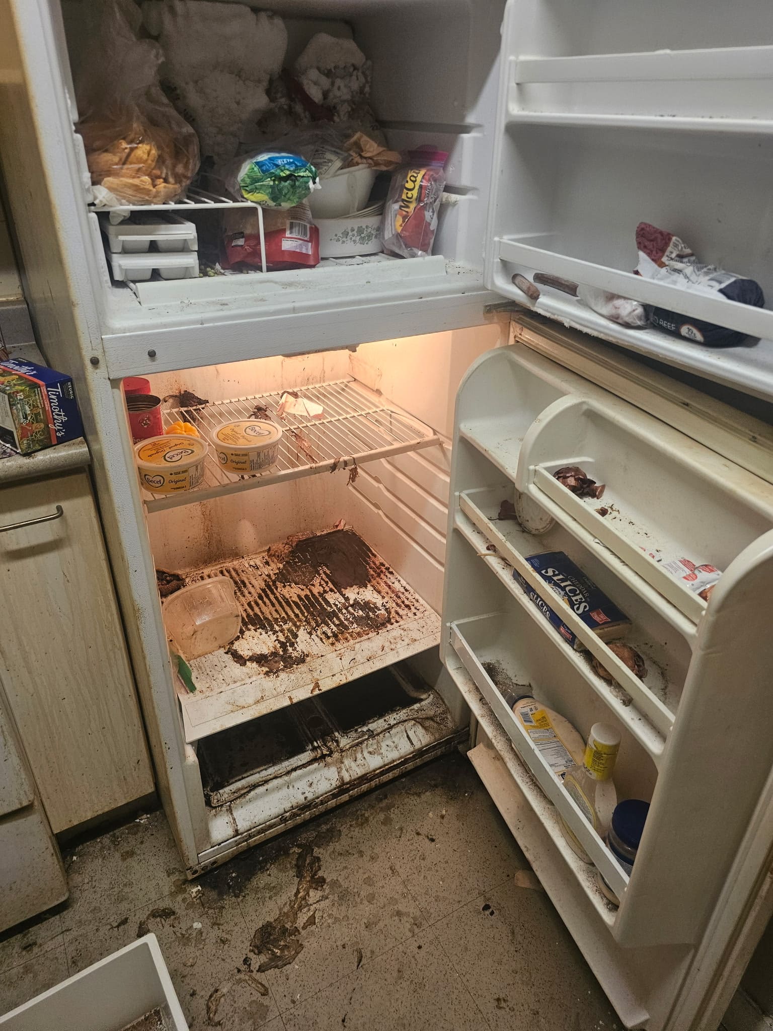 Neglected dirty refrigerator with spoiled food before clean