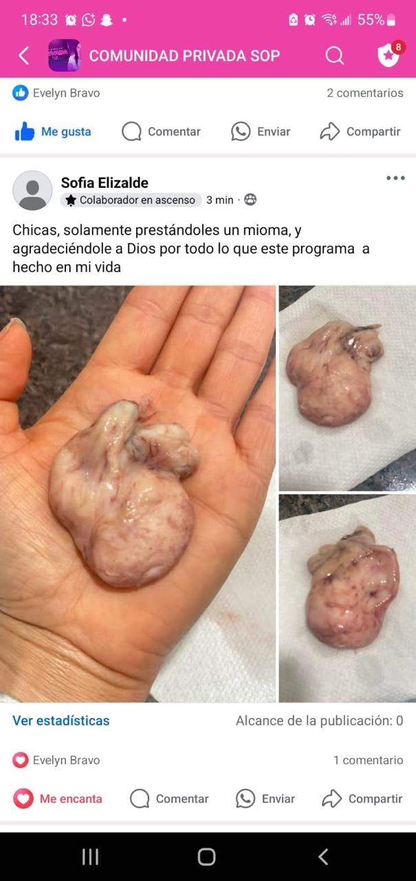 Captura de testimonio de Sofía Elizalde en comunidad privada