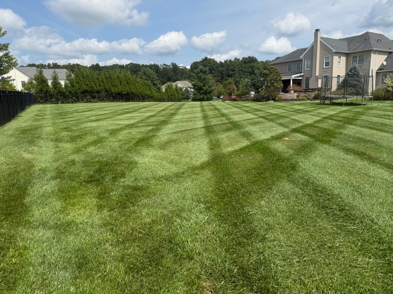 Precision lawn mowing and striping in Princeton NJ