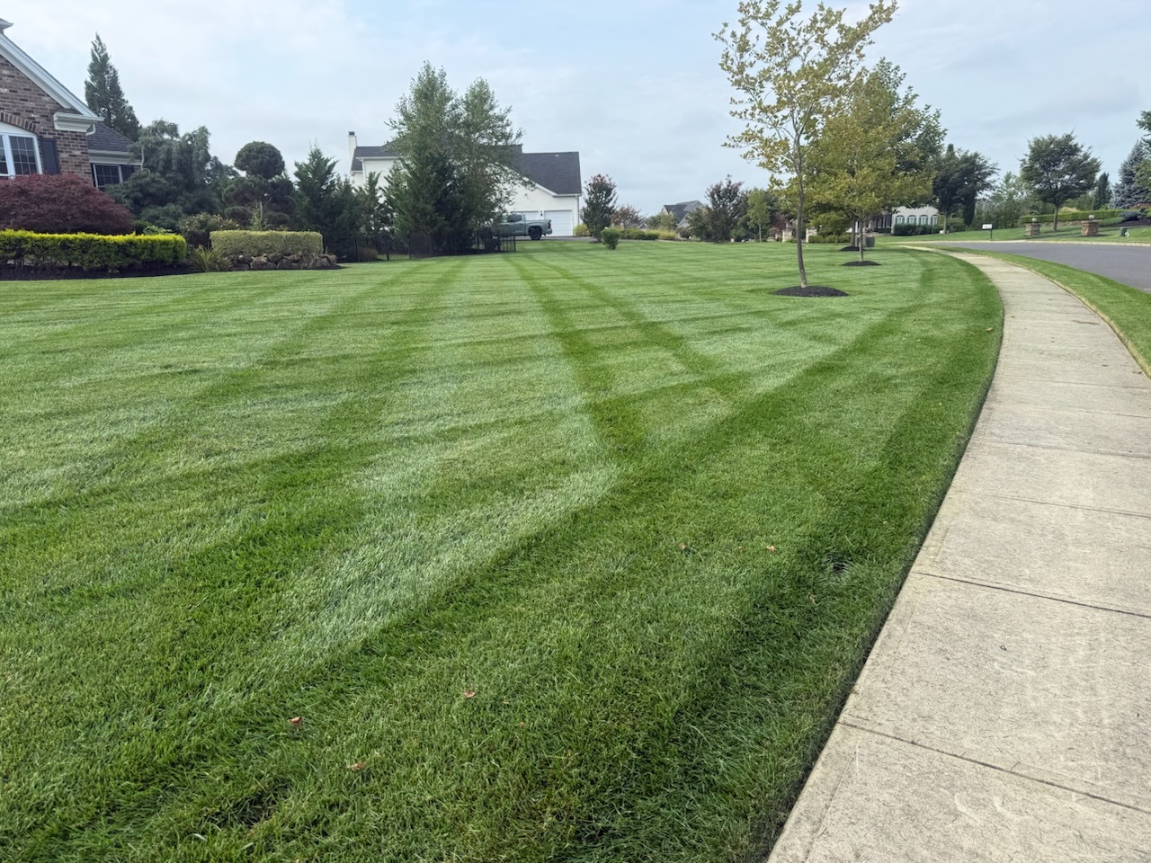 Curved sidewalk lawn edging and diamond lawn stripes in Hamilton NJ