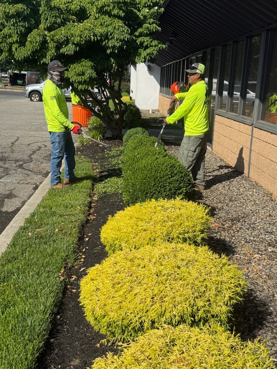 Hedge and shrub trimming in Robbinsville NJ