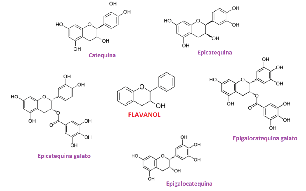 antioxidantes - flavonoles y catequinas del té verde
