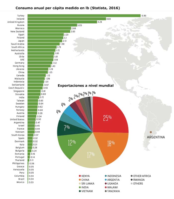 Consumo anual per cápita y exportaciones a nivel mundial de té (Statista)