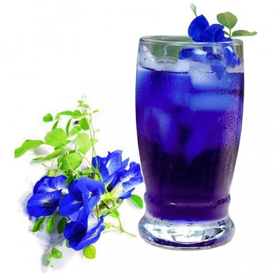 Infusión fría nam dok anchan de color azul profundo con flores frescas de Clitoria ternatea