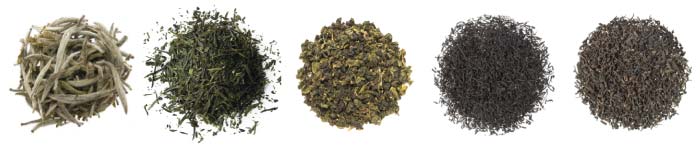Las diferentes familias y colores del té: blanco, verde, oolong y negro