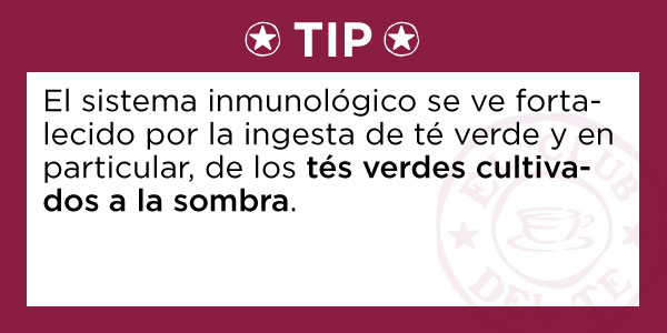 TIP: El sistema inmunológico se ve fortalecido por la ingesta de té verde