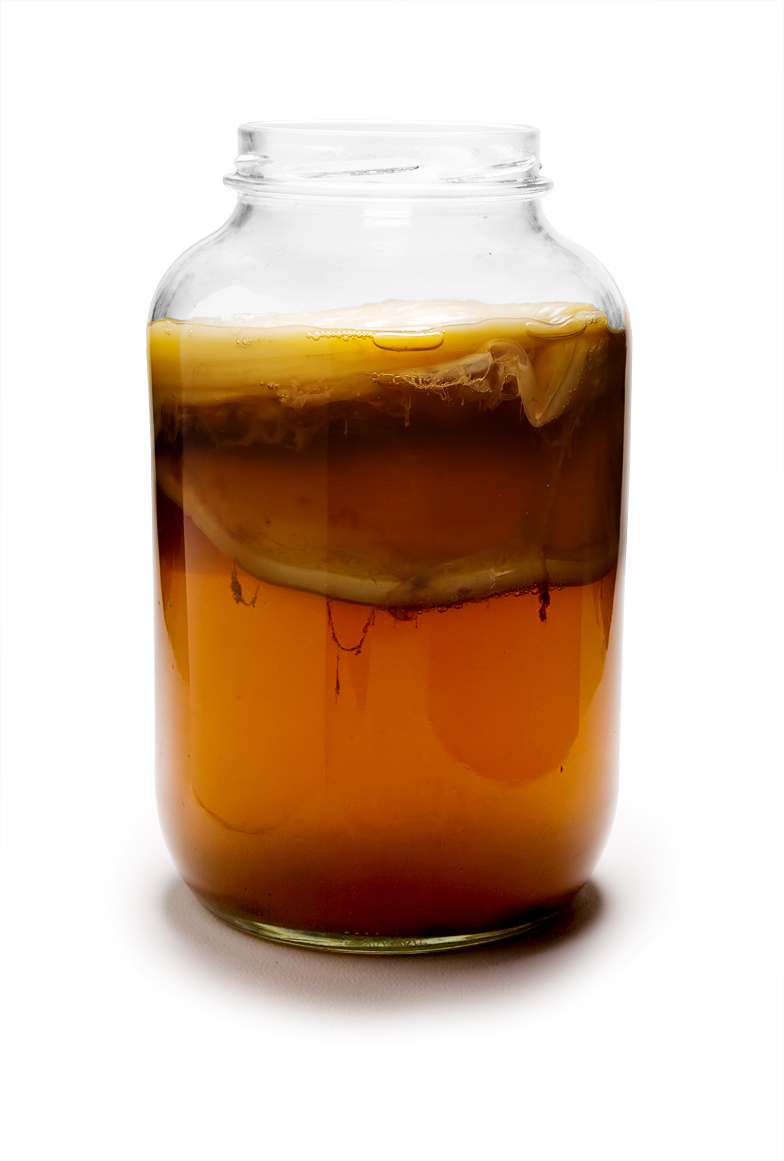 Frasco de vidrio con kombucha en fermentación activa y el hongo SCOBY flotando en la superficie