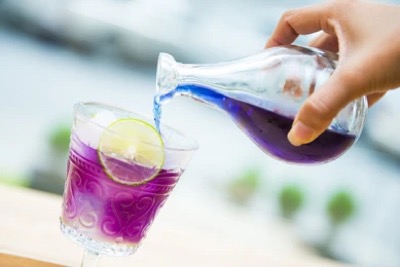 Infusión de flores de Clitoria ternatea virando al violeta con jugo de limón fresco
