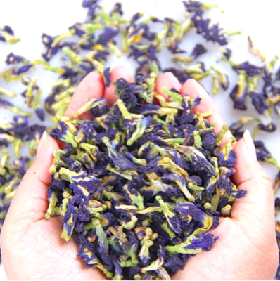 Flores secas de Clitoria ternatea cosechadas para la elaboración de blue matcha