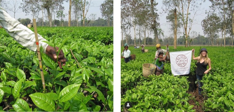Victoria Bisogno en plantación de té en Assam junto a trabajadoras cosecheras locales