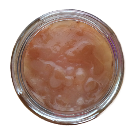 Hongo SCOBY disco gelatinoso de bacterias y levaduras para fermentar kombucha visto desde arriba