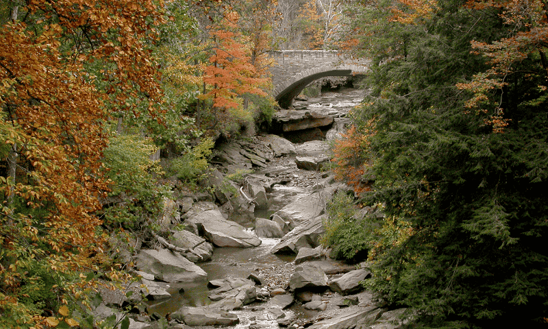 Chippewa Creek Trail