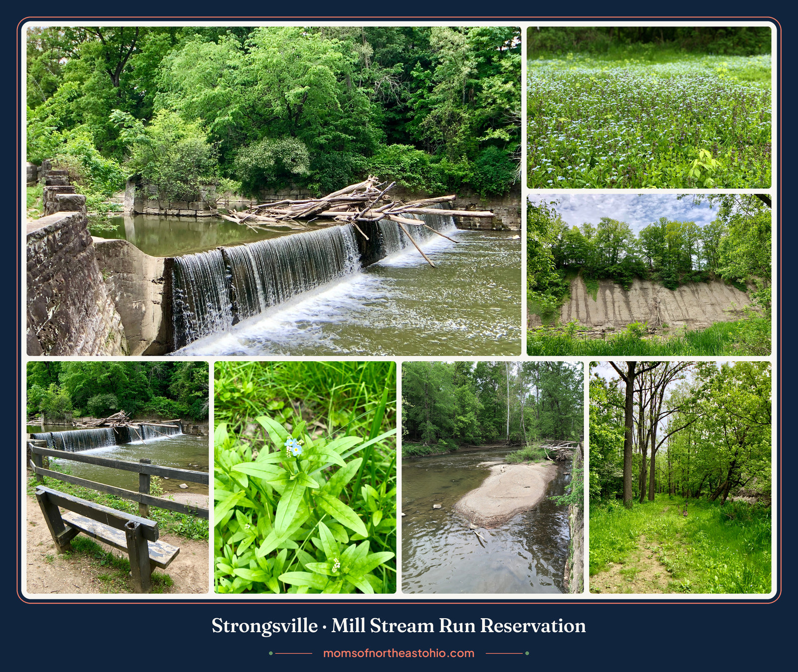 Mill Stream Run Reservation