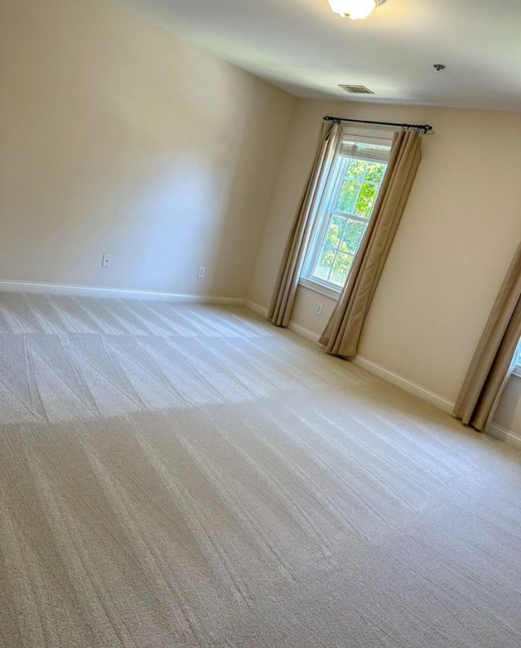 Pristine Patterned Carpet Steam Cleaning by Shaddais Cleaning