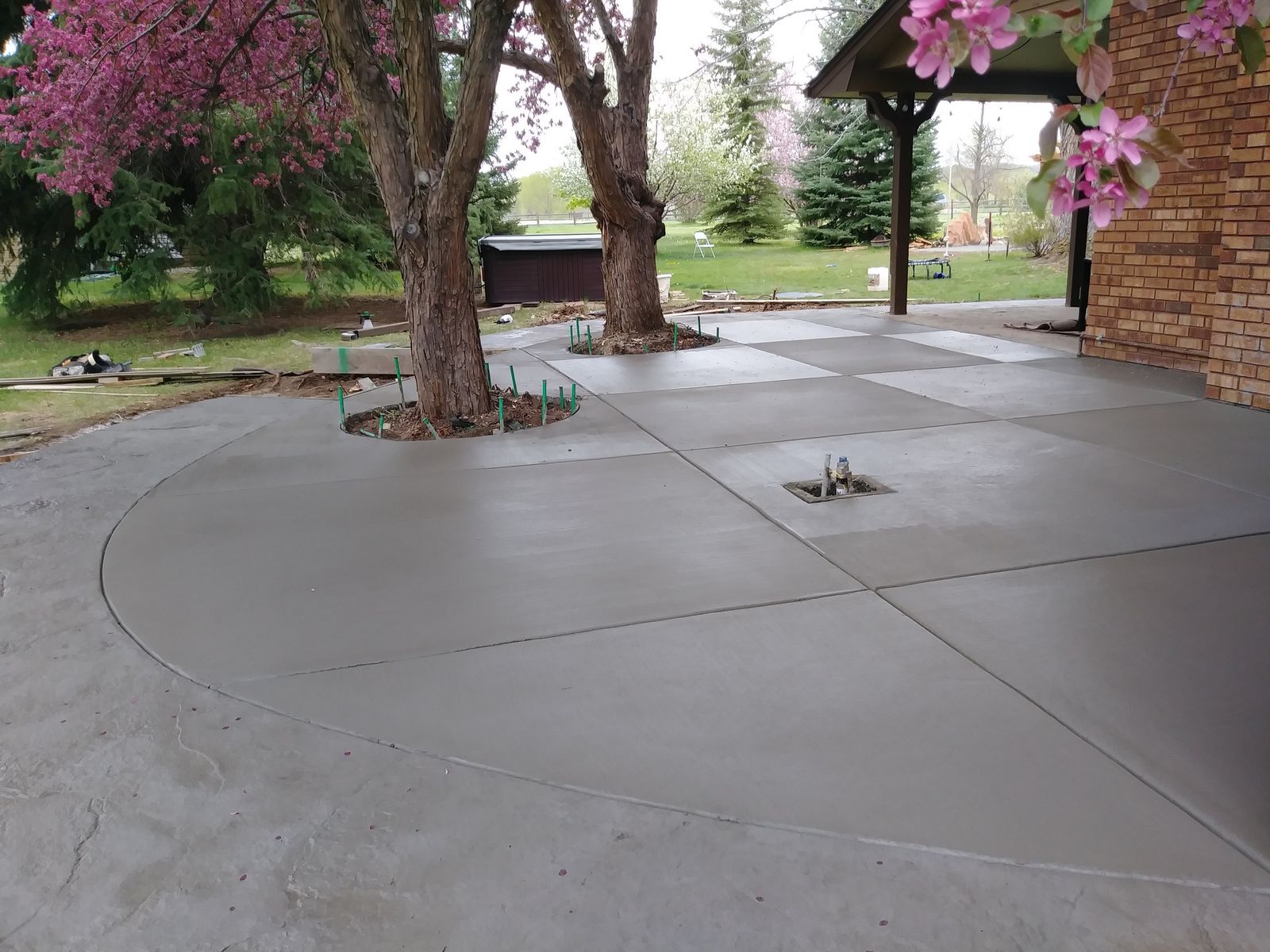 Large Backyard Concrete Patio Extension Poured Around Mature Trees with Custom Wells by Happy's Concrete