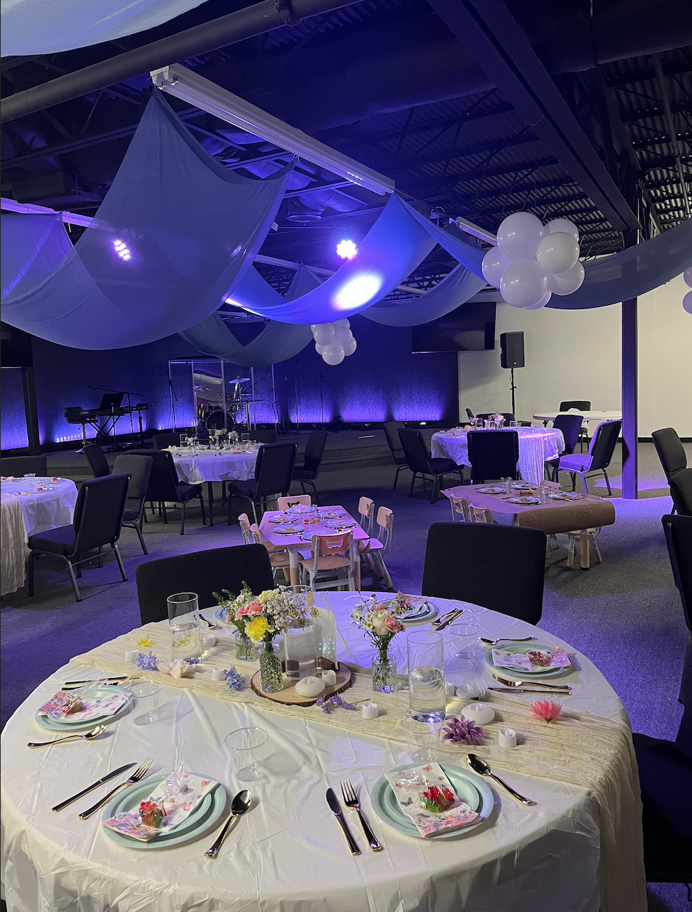 Butterfly Garden Baby Shower & Ceiling Draping