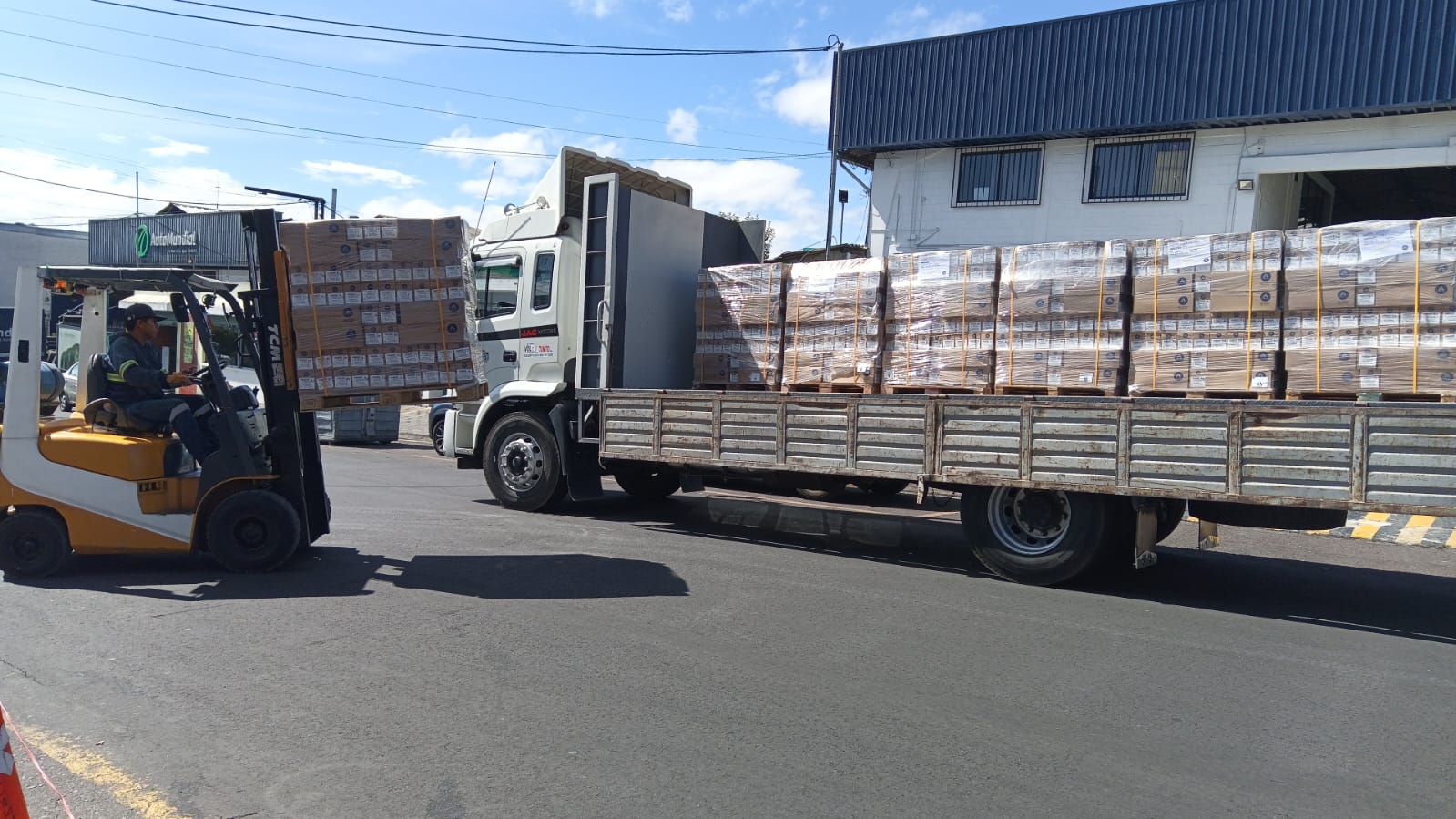 Carga Masiva de Pallets en Camión de Plataforma
