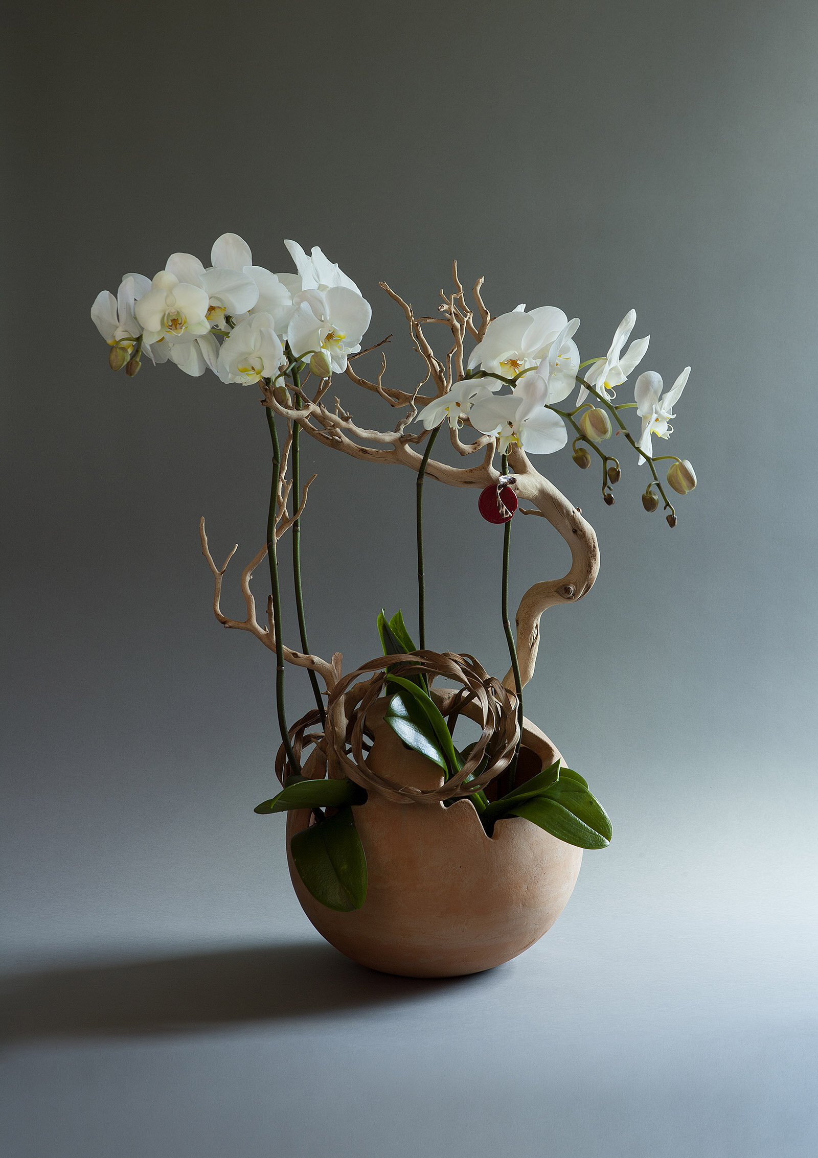 Composition 47 — Customized botanical foliage arrangement by Rikka Floral