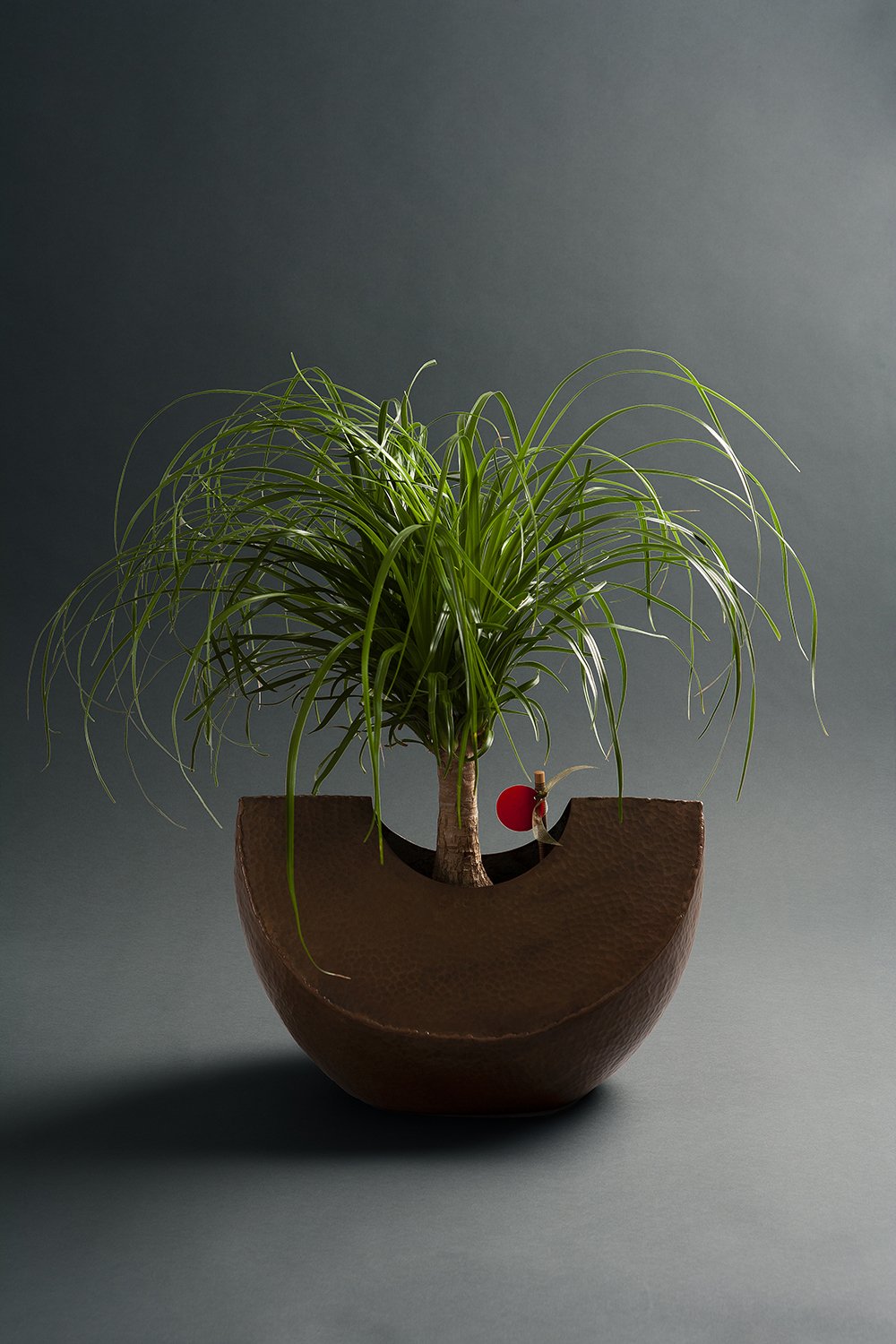 Composition 62 — Seasonal holiday décor installation by Rikka Floral