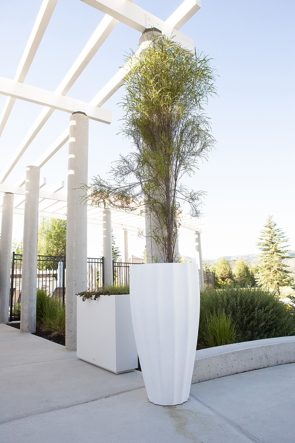 Composition 34 — Exterior plantscaping installation by Rikka Floral