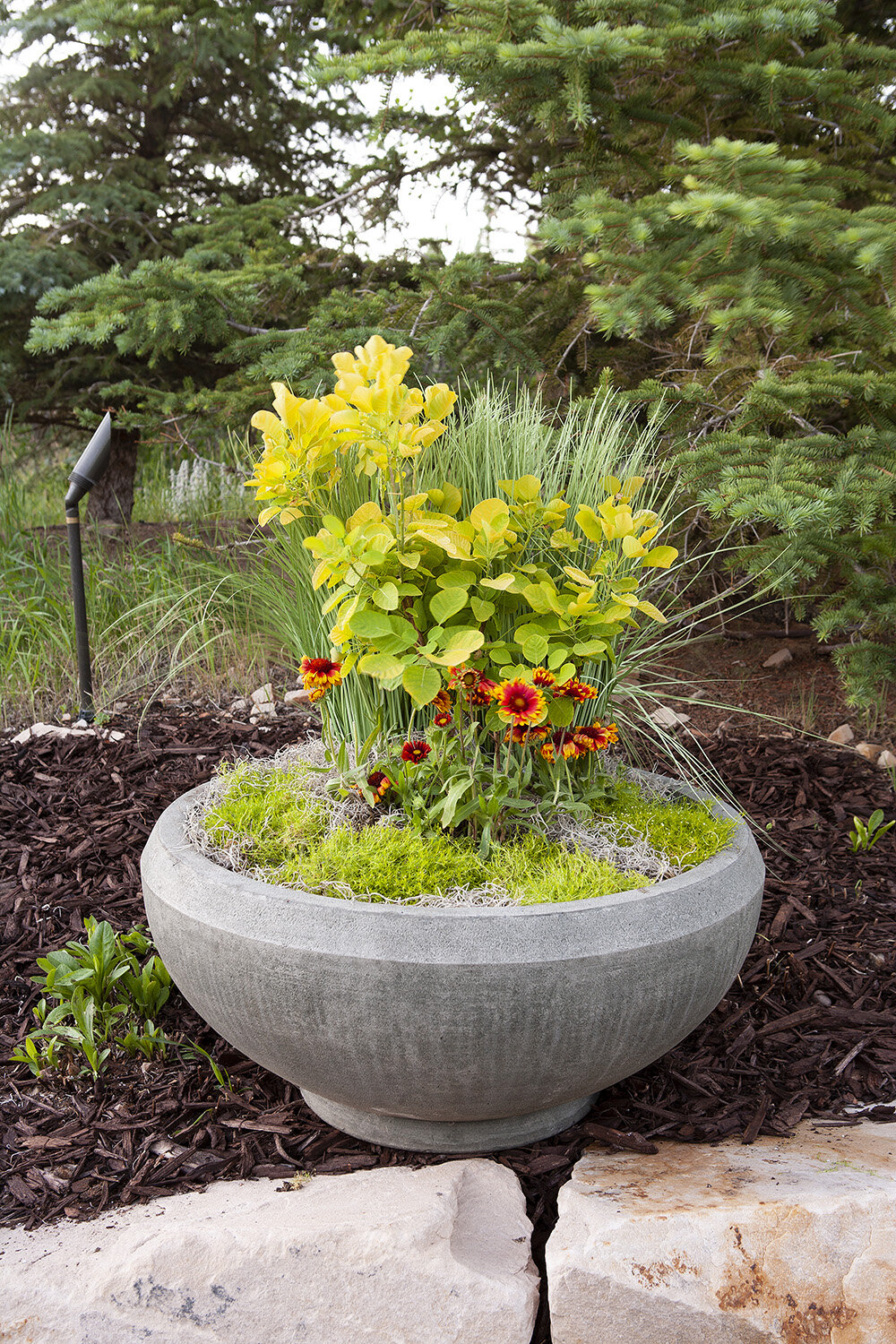 Composition 38 — Exterior plantscaping installation by Rikka Floral