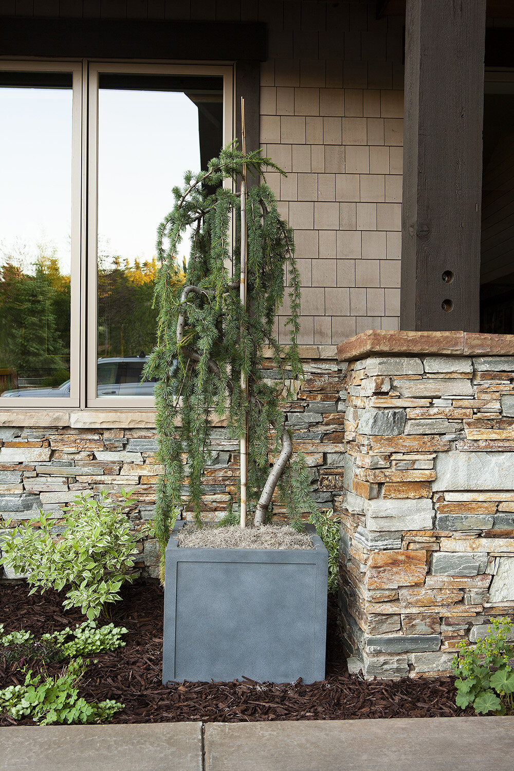 Composition 29 — Exterior plantscaping installation by Rikka Floral