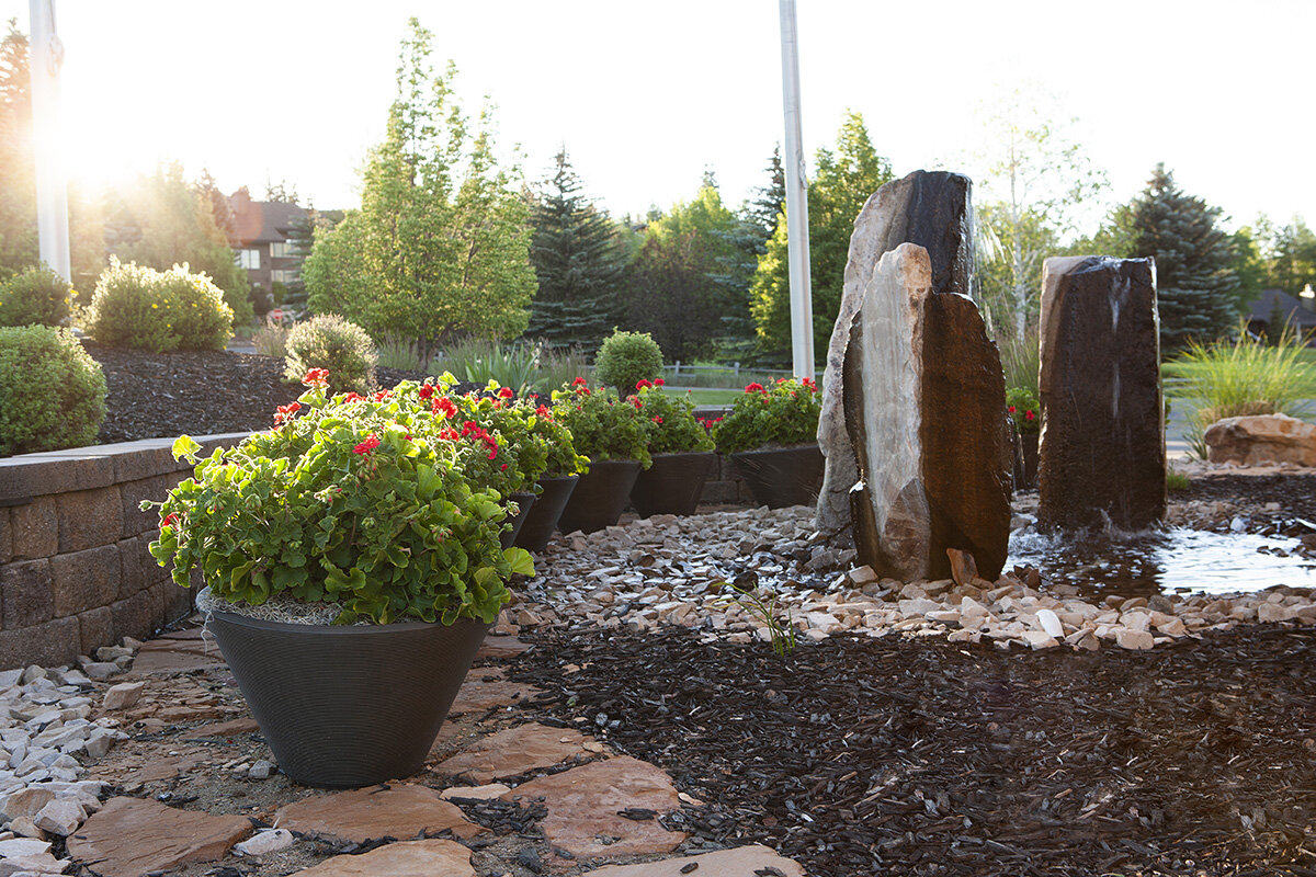 Composition 31 — Exterior plantscaping installation by Rikka Floral