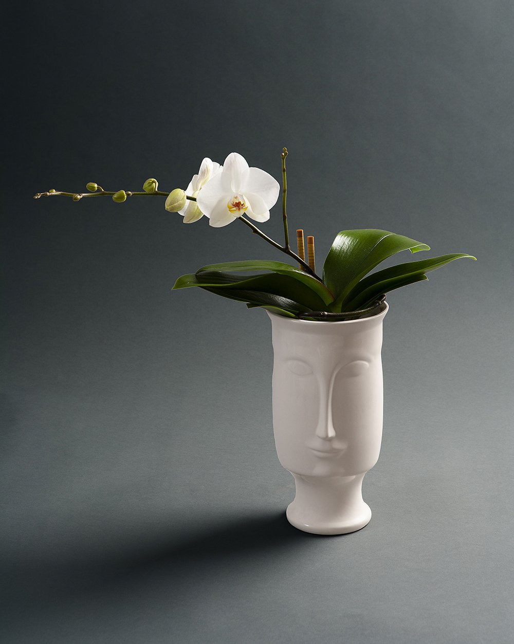 Composition 21 — Customized botanical foliage arrangement by Rikka Floral