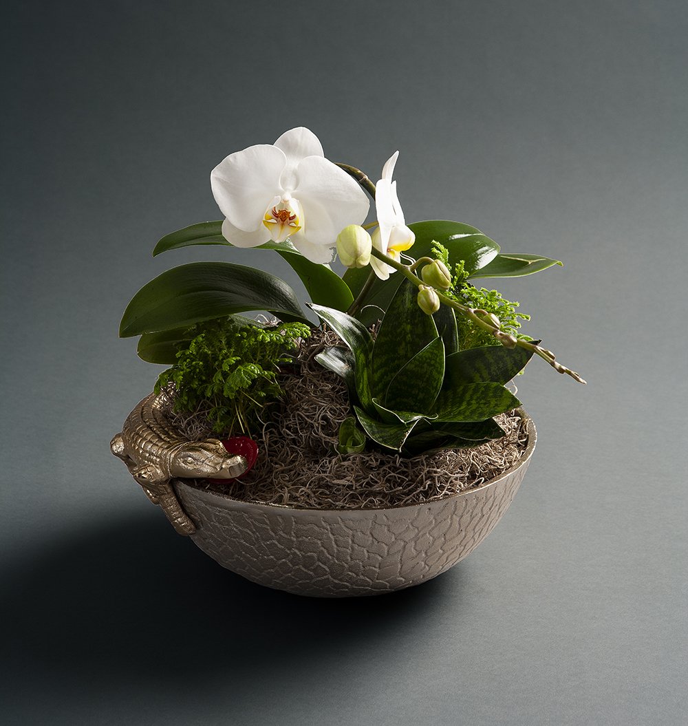Composition 25 — Customized botanical foliage arrangement by Rikka Floral