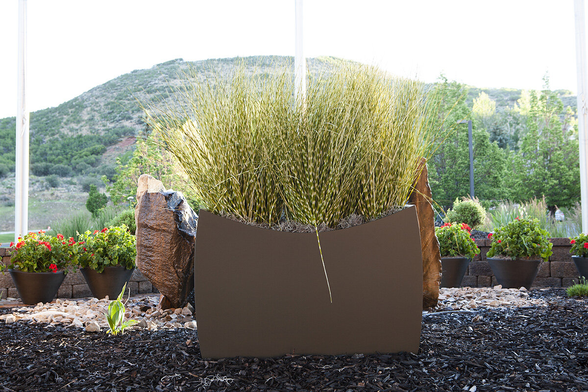 Composition 33 — Exterior plantscaping installation by Rikka Floral