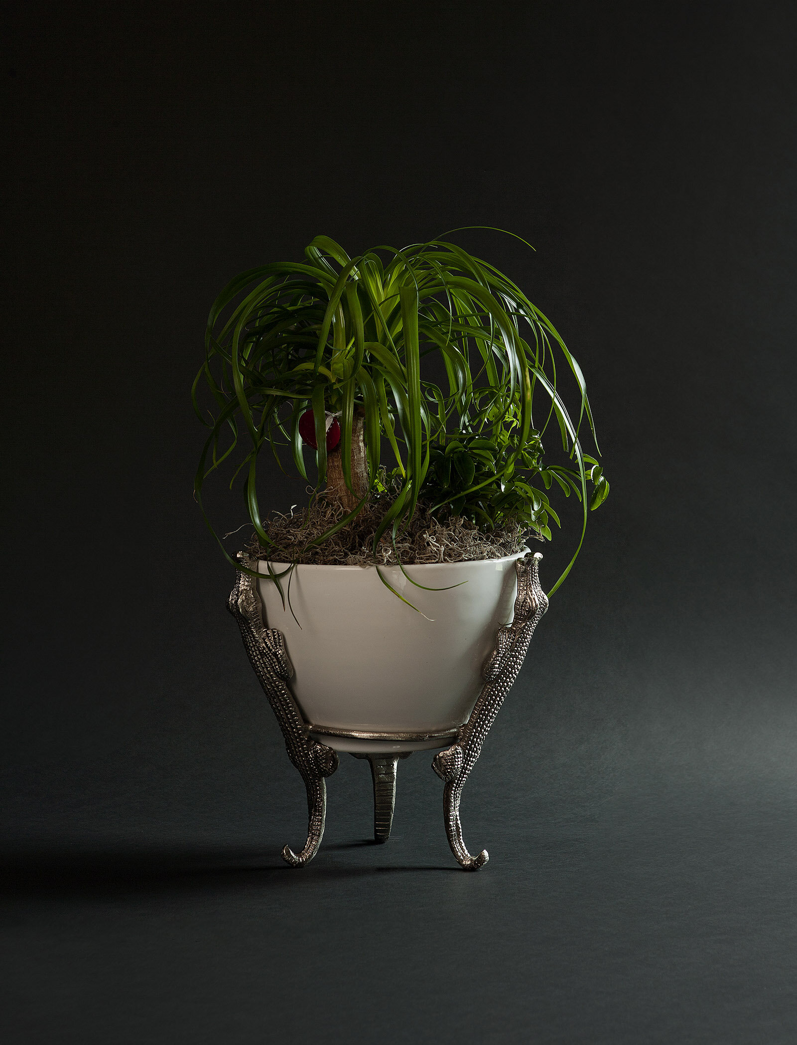 Composition 50 — Customized botanical foliage arrangement by Rikka Floral