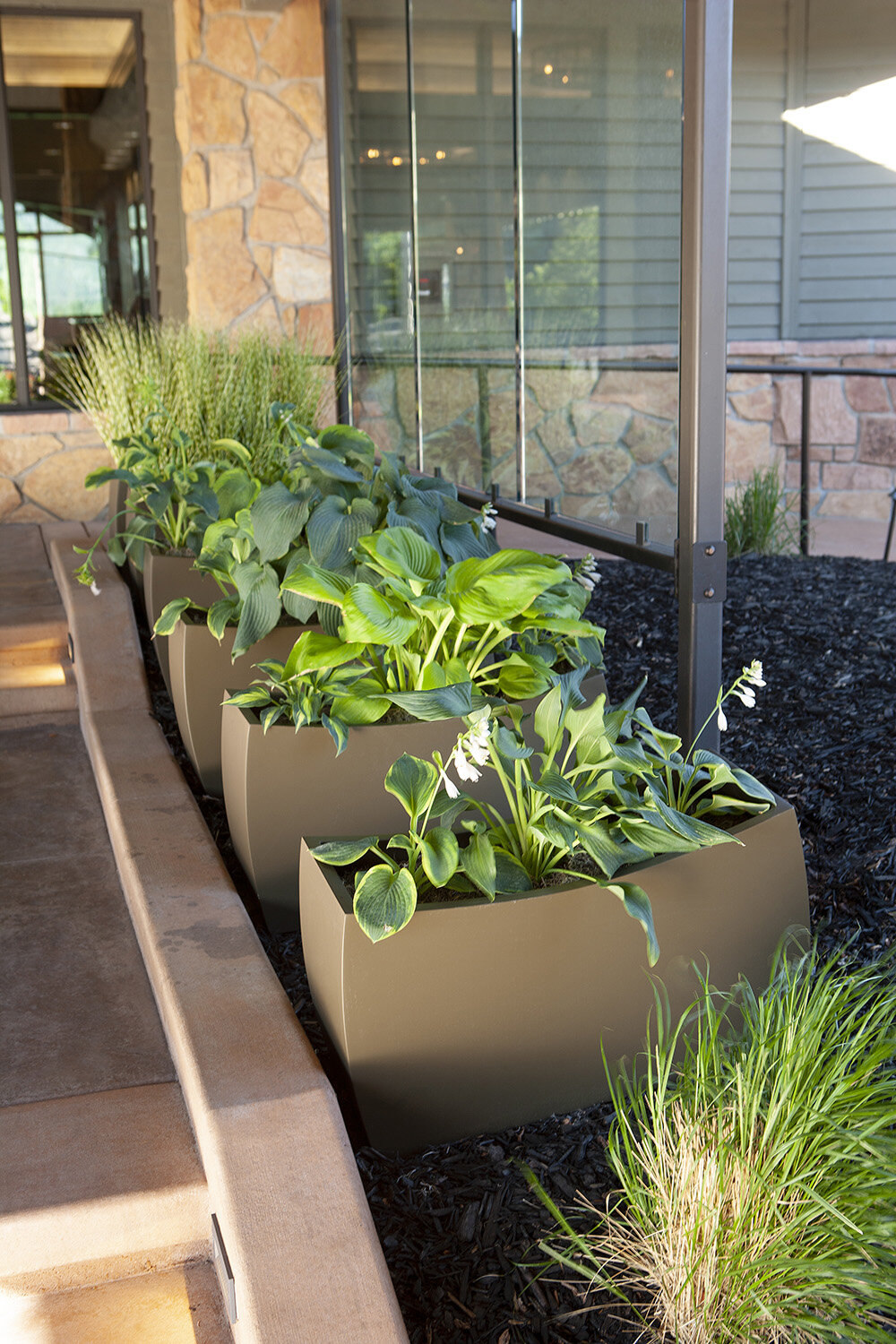 Composition 32 — Exterior plantscaping installation by Rikka Floral