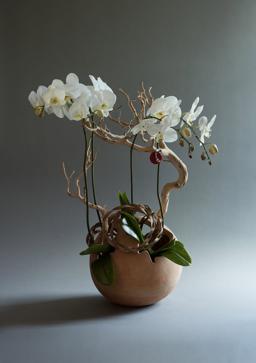 Sculptural floral and botanical arrangement in a ceramic vessel