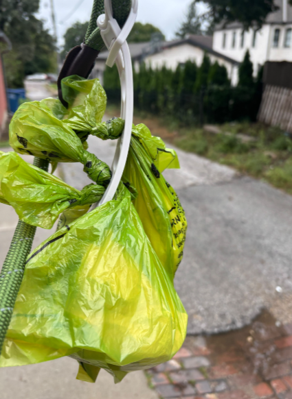 Close-up of Ploopp slotted loop securely holding multiple waste bags on leash