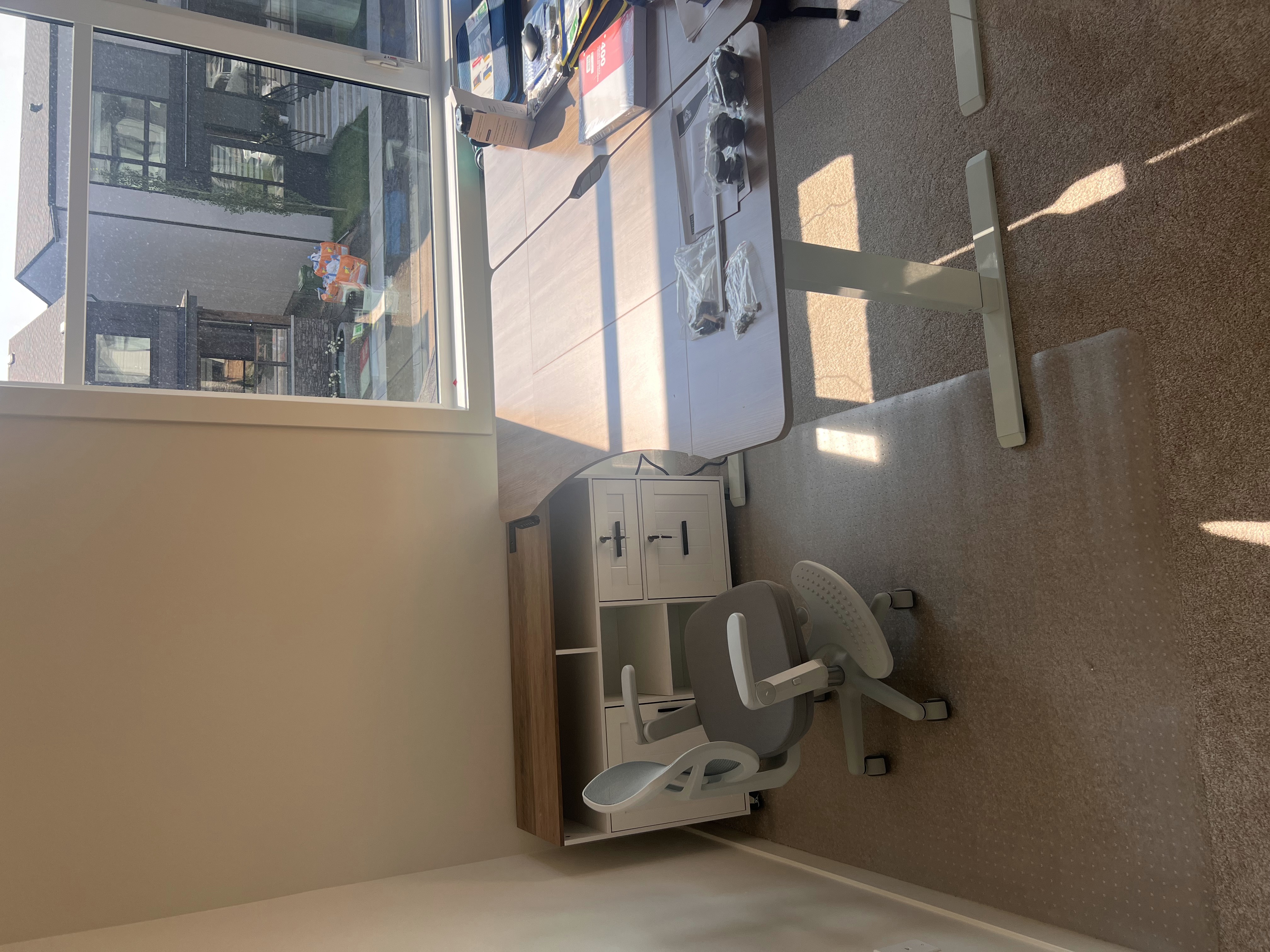 Adjustable Desk & Ergonomic Chair